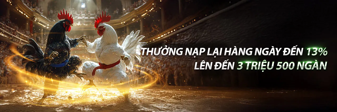 Đấu gà kịch tính tại fsbet hiện đang mở